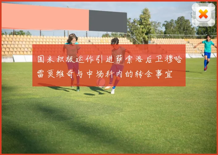 国米积极运作引进萨索洛后卫穆哈雷莫维奇与中场科内的转会事宜