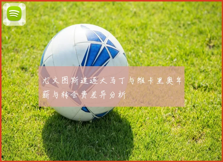 尤文图斯追逐大马丁与维卡里奥年薪与转会费差异分析
